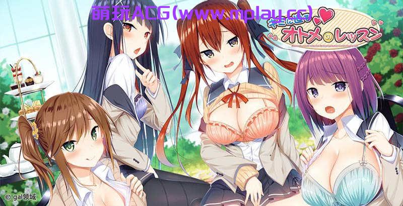 [PC+安卓/拔作ADV/汉化]キミに迫るオトメのレッスン-逼近你的少女 AI汉化版+全CG存档[新汉化/3.64G]-萌玩ACG