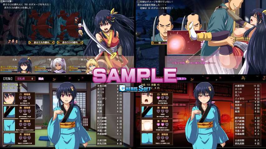【电脑/RPG/挂载式AI汉化/大型江户幻想】女忍者花梨/くノ一花梨[2.43G]-萌玩ACG
