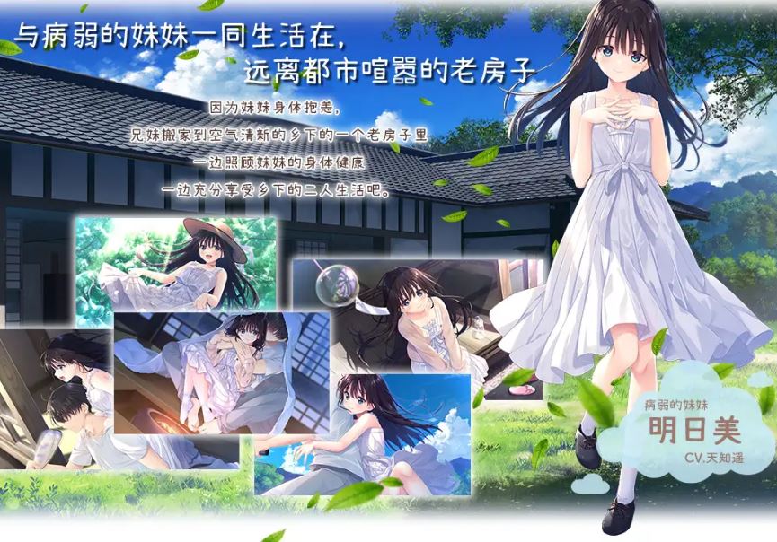 [电脑/RPG/官中] 痴情哥哥与病弱妹妹的乡间生活 官方中文版 [2.7G]-萌玩ACG