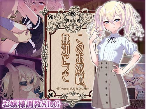 【电脑/SLG/汉化】这位小姐，因无知所致/このお嬢様、無知につき V5 Ver1.2.3 AI汉化版【500M】-萌玩ACG